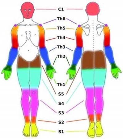 Sympathikustherapie nach Heesch